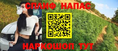 PSILOCYBIN Нальчик