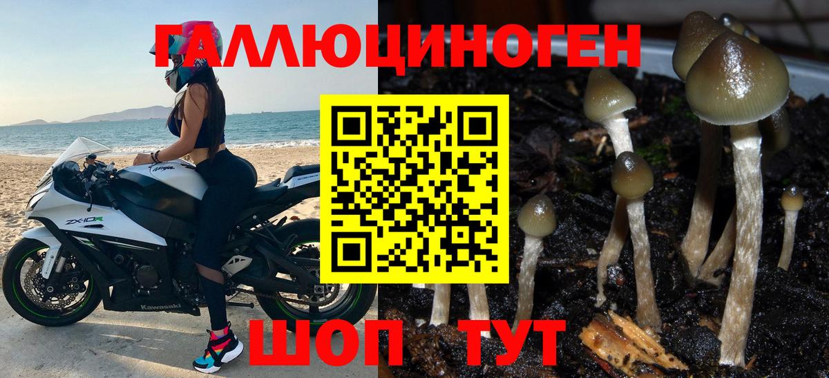 Галлюциногенные грибы прущие грибы Тара